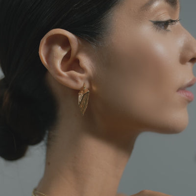 Hoop Gold Earrings for Women